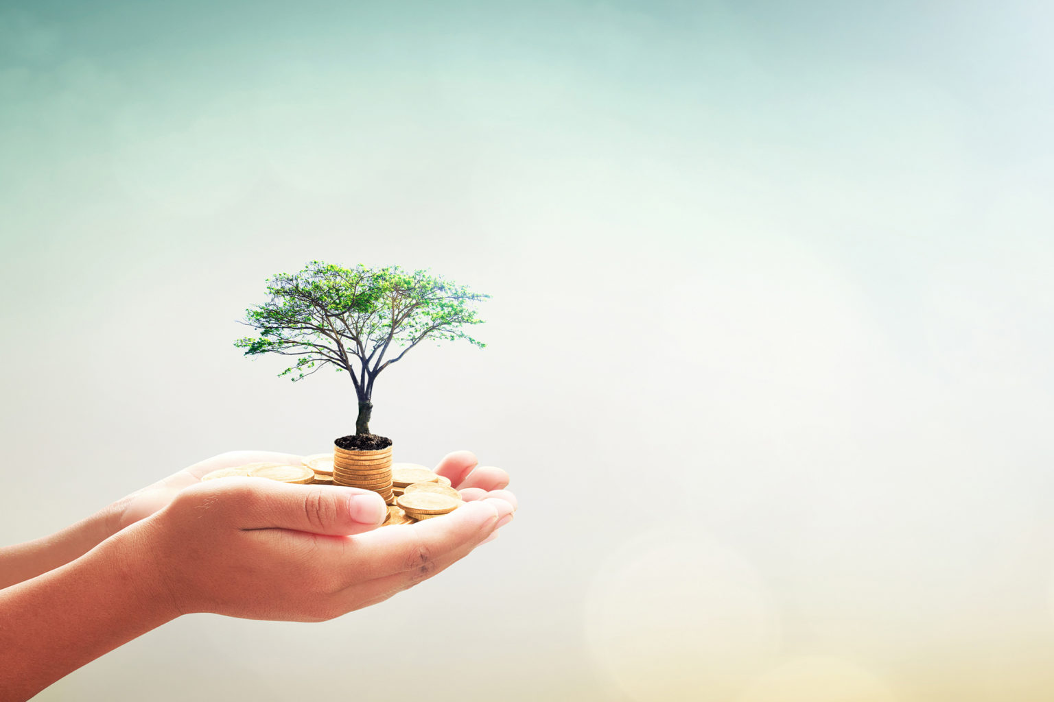 Growth Minded: How We Protect Your Investment As We Expand