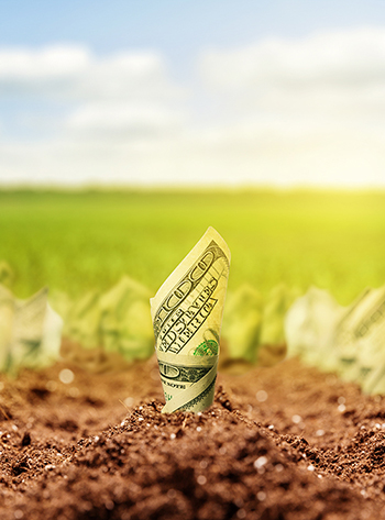 The Smarter Way to Invest: Self-Directed Retirement for Small Business Owners